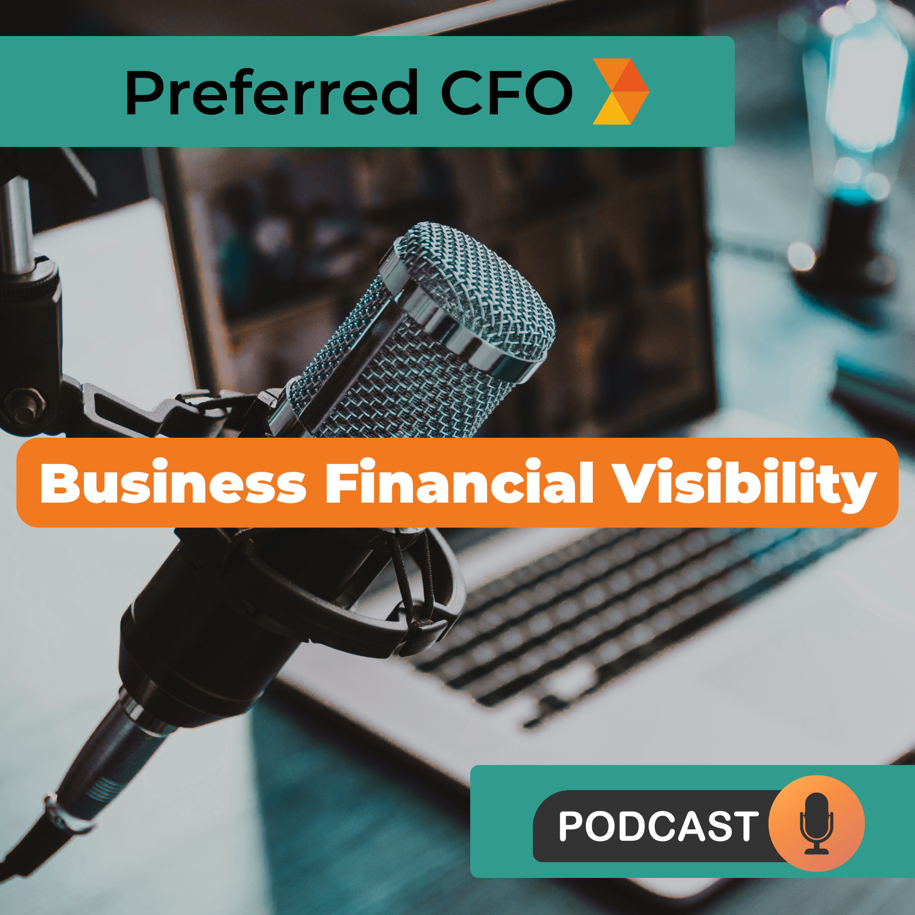 The Business Financial Visibility Podcast
